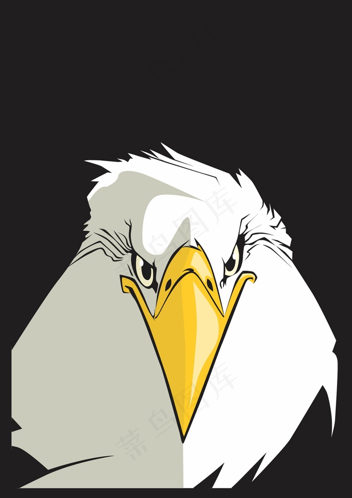 眼睛，鹰，黑暗