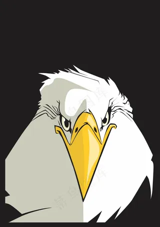 眼睛，鹰，黑暗