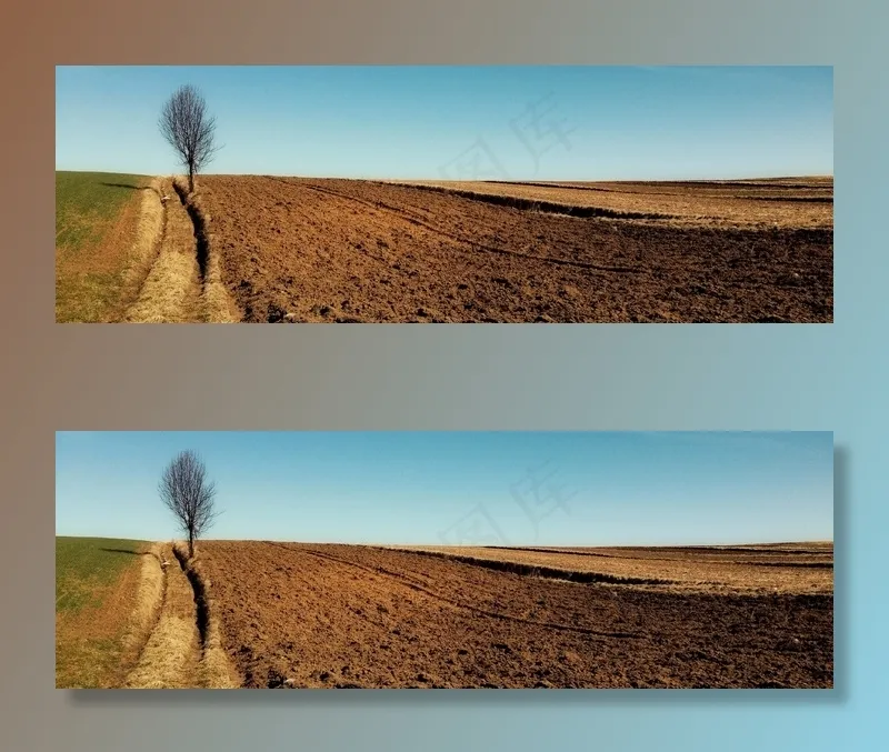 树，方式，场，景观，村，农场