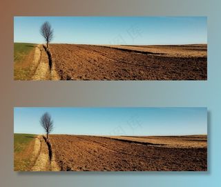 树，方式，场，景观，村，农场