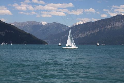 瑞士，布里恩茨湖，山，高山