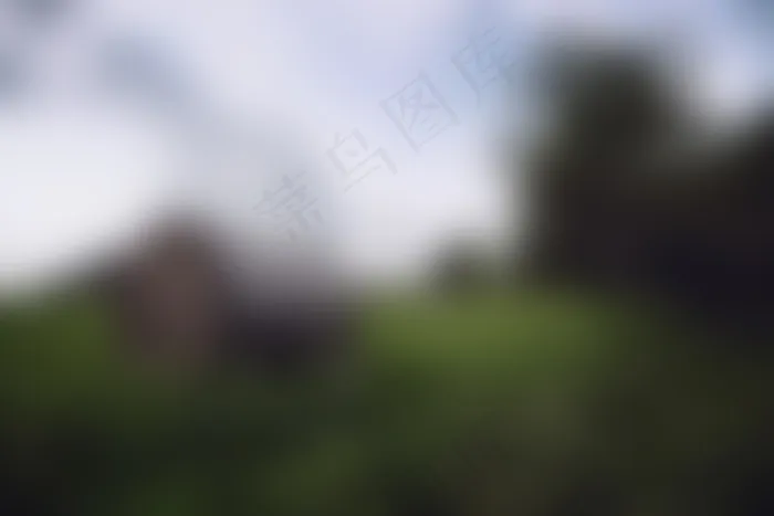 模糊图片,峨眉附地菜,天空,北极光,树,模糊的背景