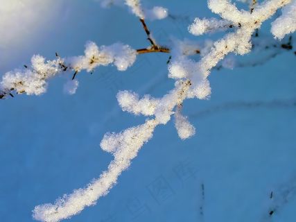 冬天，弗罗斯特，雪，分支