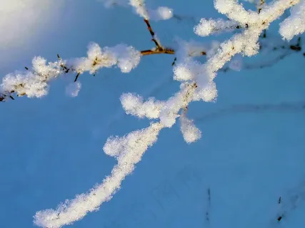 冬天,弗罗斯特,雪,分支 冬天,弗罗斯特,雪,分支