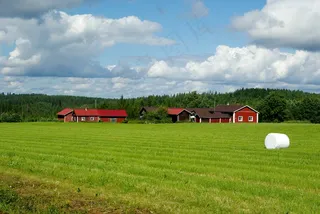 芬兰，农场，森林，干草