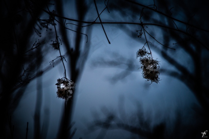 春天，傍晚，自然，景观，日落，地平线