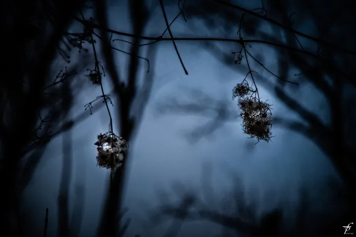 春天，傍晚，自然，景观，日落，地平线