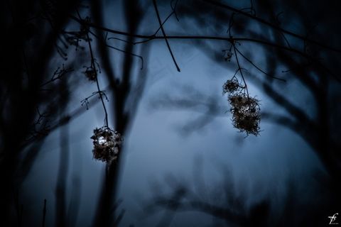 春天，傍晚，自然，景观，日落，地平线