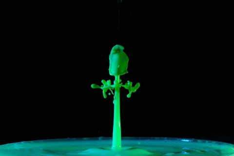 滴水，水，水滴，水景，绿色，喷雾