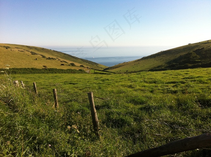 场，草，绿色，自然，景观，大海，海边
