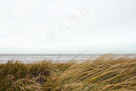 és meu amor,树,稻田,江河,麦田风景,海自然天空海岸