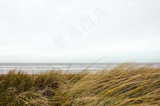 és meu amor,树,稻田,江河,麦田风景,海自然天空海岸