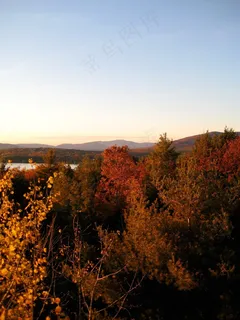 山峦,峡谷,树,枫树,禾木,树木秋天秋大自然 山峦,峡谷,树,枫树,禾木,树木秋天秋大自然