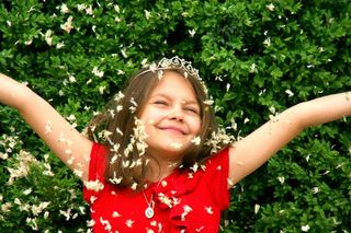 女孩，花瓣，飞行，欢乐，红色