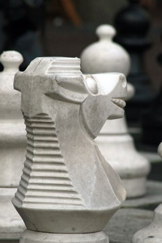 国际象棋，黑色，白色，典当，棋盘，马，阿姆斯特丹
