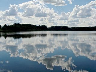 夏天，湖，水，天空，蓝色，透明，森林