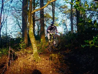 山地自行车，运动，森林，人，山地自行车之旅