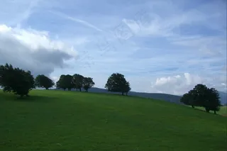 天气书，书，树木，草地，牧场