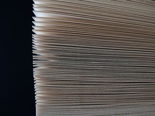 叶子，堆叠，调节，结构，对齐