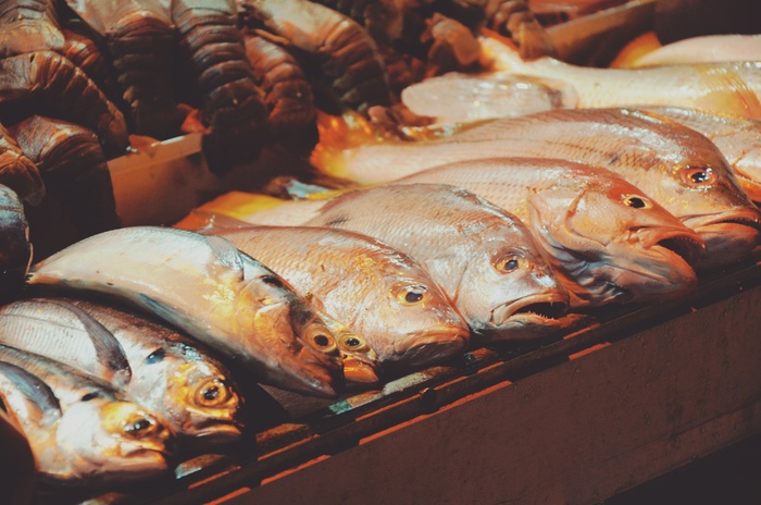 鱼，龙虾，海鲜，食品
