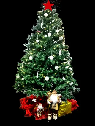 圣诞节，圣诞节图片