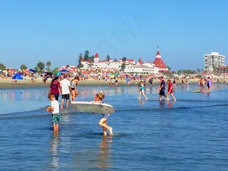 德尔科罗纳多酒店，圣地亚哥，海滩，饭店，沙子