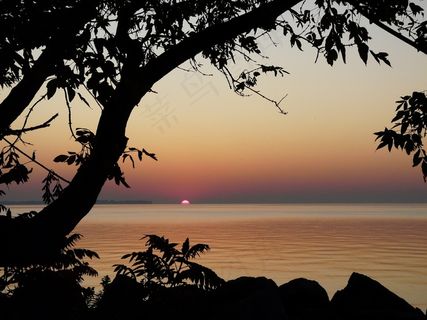 日出，太阳，水，湖泊，树，景观，自然