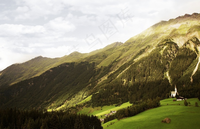 山，侧，森林，草地，景观，植被