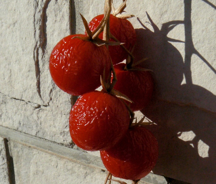 番茄，蔬菜，红色，太阳晒，食品，健康，有机