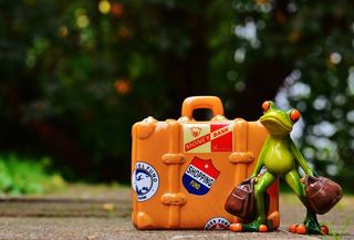 轮滑鞋,玩具,玩具汽车,卡通动漫人物,轿车,青蛙带行李的雕像