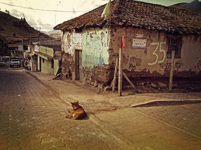 厄瓜多尔，Zimbaua，村，寂寞，一个人，流浪，狗