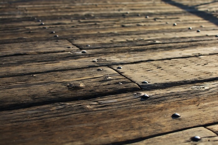 虫子,木板,木纹,地板砖,木纹素材,海滨楼层