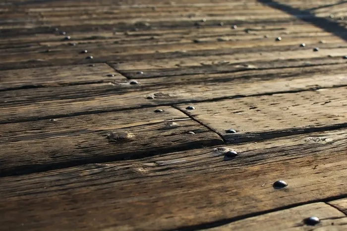 虫子,木板,木纹,地板砖,木纹素材,海滨楼层