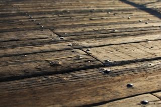 虫子,木板,木纹,地板砖,木纹素材,海滨楼层