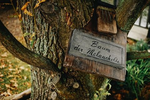 树干,古榕,橡胶树,雪树银花,树,Baum der Melancholie