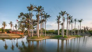 景观，全景，风景，风景，米兰达公园