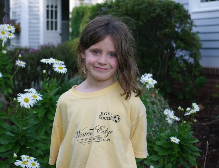 女孩，雏菊，鲜花，夏天，可爱，儿童，户外