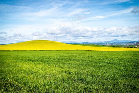 天空，场，蓝天，云，景观，耕种