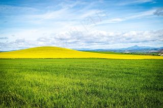 天空，场，蓝天，云，景观，耕种