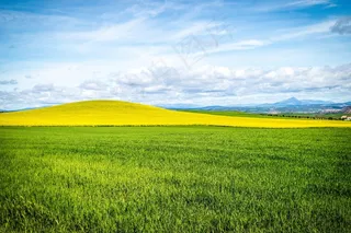 天空，场，蓝天，云，景观，耕种