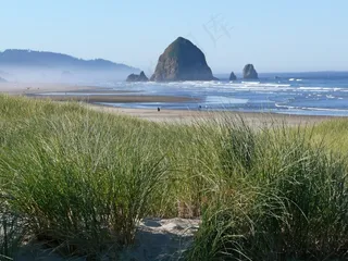 海岸，海滩，清晨，雾，岩石，草，沙