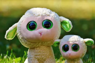 羊，Schäfchen，动物，自然，羔羊，可爱，甜