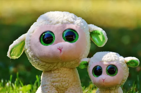 羊,Schäfchen,动物,自然,羔羊,可爱,甜 羊,Schäfchen,动物,自然,羔羊,可爱,甜