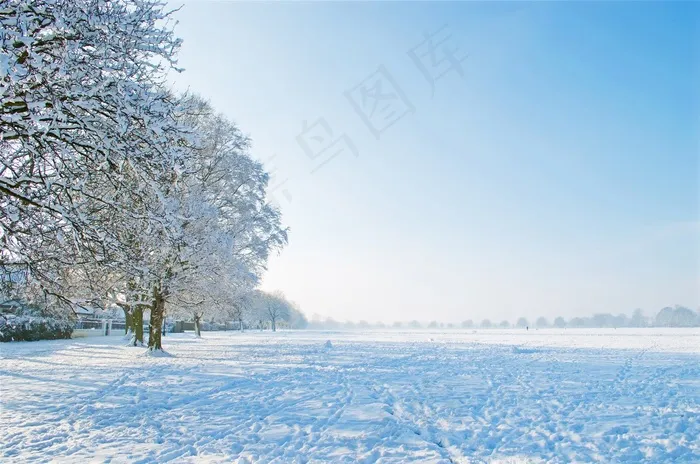 很好，冬冬季，一天，树，树木，雪，下雪了，下雪了