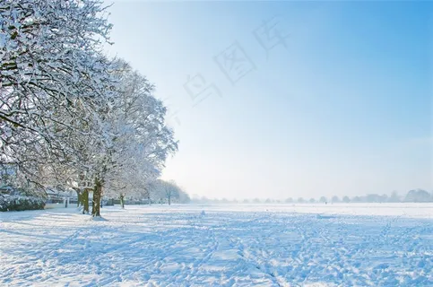 很好，冬冬季，一天，树，树木，雪，下雪了，下雪了