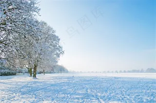 很好，冬冬季，一天，树，树木，雪，下雪了，下雪了
