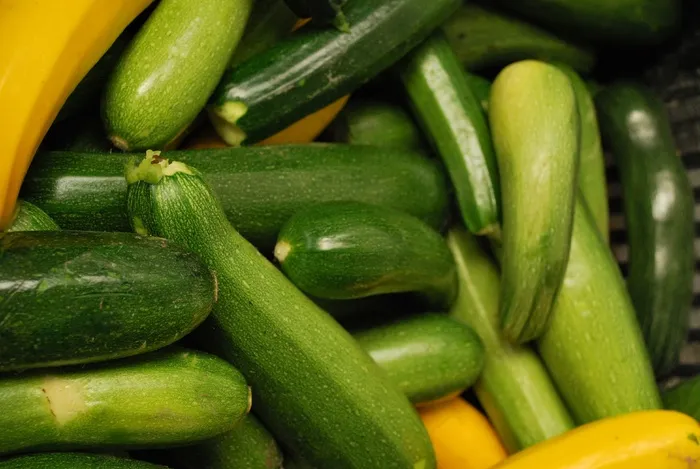 蔬菜，园丁，菜园