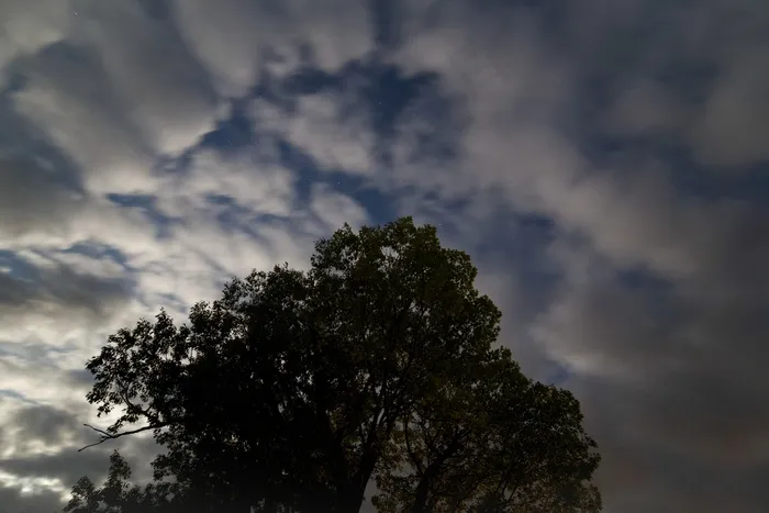 天空,卷积云,白云,雪树银花,树,夜云星星树