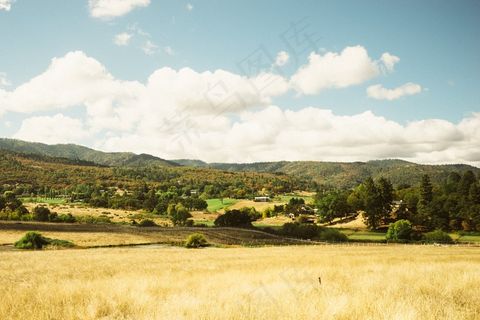 天空,风景,树,沙漠,沙漠化,景观领域