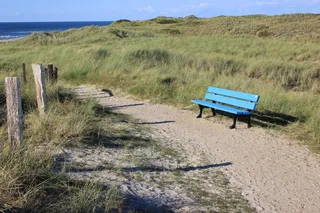 离，银行，沙丘，草，海，北海，休息